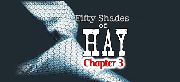 Fifty Shades of Hay: A Kellie Rasberry Love Story – Chapter 3 