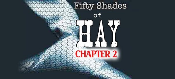 Fifty Shades of Hay – A Kellie Rasberry love story: Chapter 2 