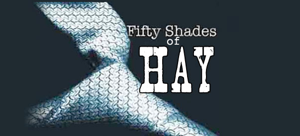 Fifty Shades of Hay: A Kellie Rasberry love story – Chapter 1 