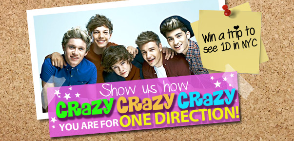 WINNER: Crazy Crazy Crazy for One Direction contest 