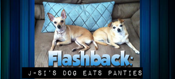 Flashback: J-Si and Kinsey’s dog eats panties 