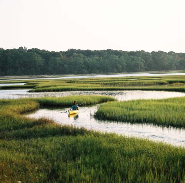 Kayaking in North Carolina’s Southern Outer Banks KiddNation