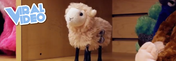 Viral Video: Little Lamby’s Cover of “Counting Stars”