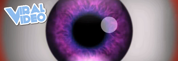 Viral Video: Optical Illusion