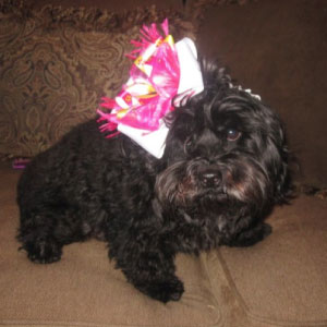 george-with-emma-kellys-bow