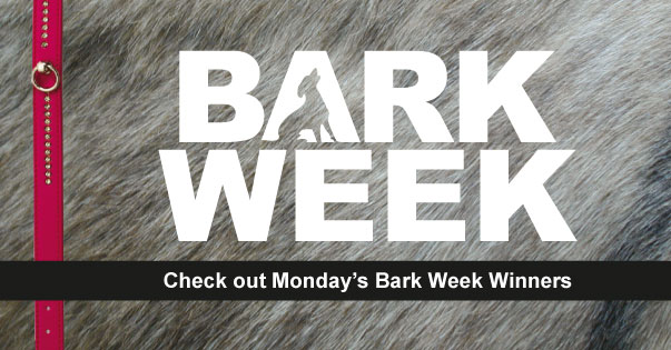 Monday’s Bark Week Winners 
