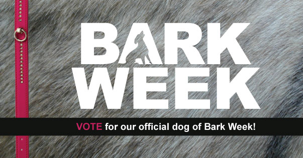 Bark Week 2014 – Vote for the Official Dog