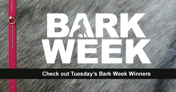 Tuesday’s Bark Week Winners 