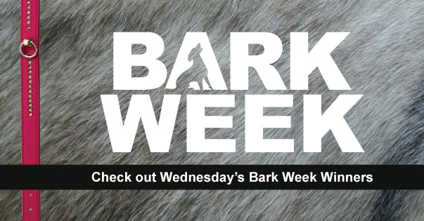 Wednesday’s Bark Week Winners 