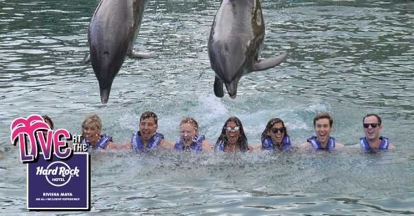 The Cast Swims with Dolphins 