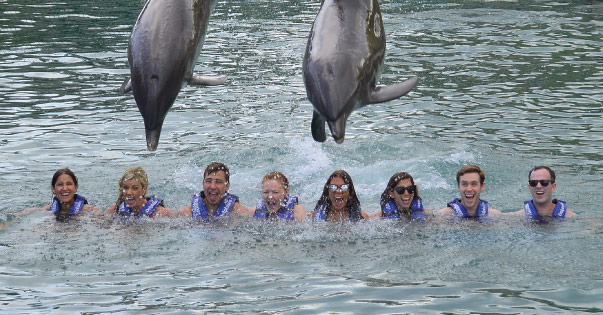 swim-with-dolphin-header