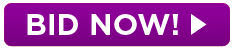btn_bid-now-arrow