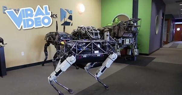 Viral Video: Google’s new robot dog