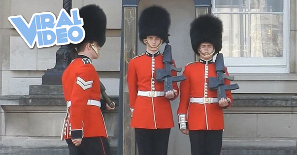Viral Video: Buckingham Palace guard falls