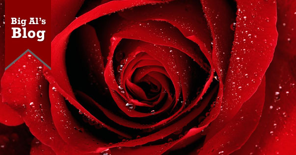 Big Al’s Blog: Roses & Neil Diamond