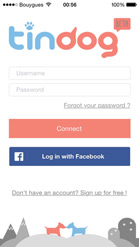 tindog-1