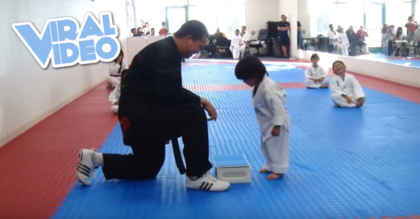 Viral Video: AYA! Little Boy Tries To Break Board In Taekwondo