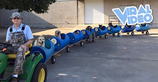 Viral Video: Fort Worth Dog Train