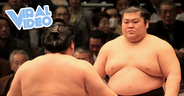 Viral Video: Sprinting Sumo Wrestlers