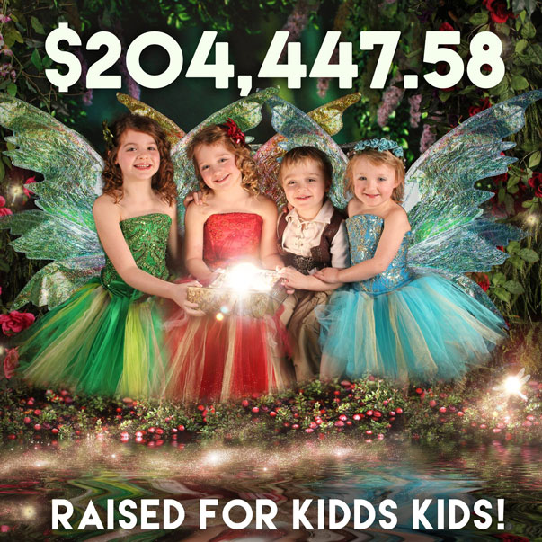 enchanted-fairies-donation-pic