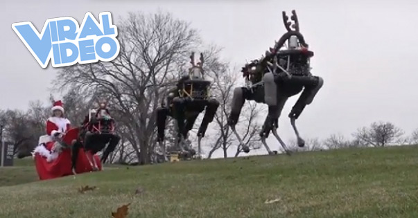 Viral Video: Robot Reindeer