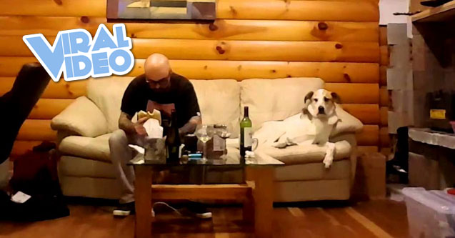 Viral Video: Dog Likes To Watch Owner Eat
