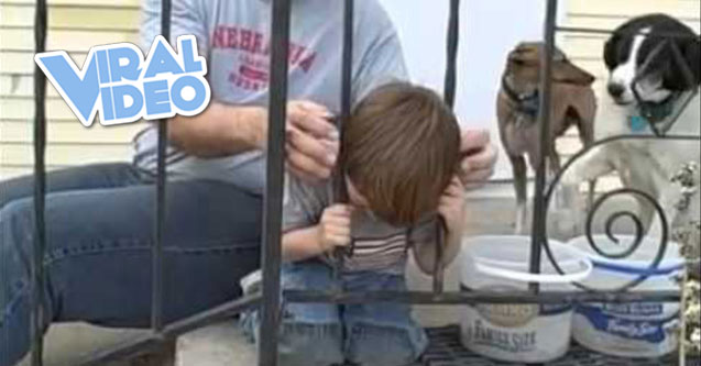 Viral Video: Kid gets head stuck in fence