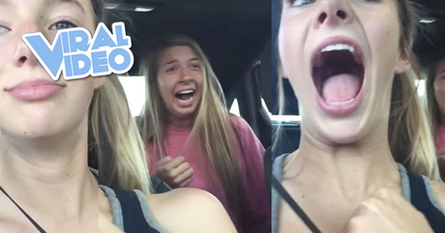 Viral Video: Girls, Interrupted