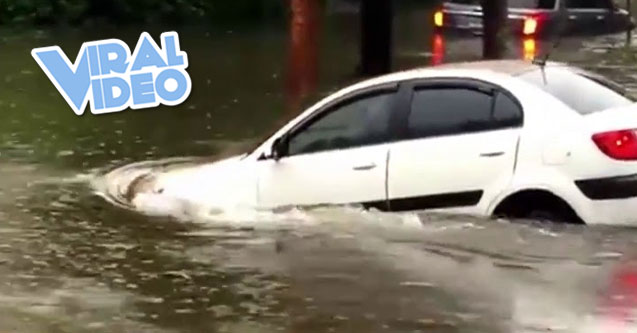 Viral Video: People having a worse day than you