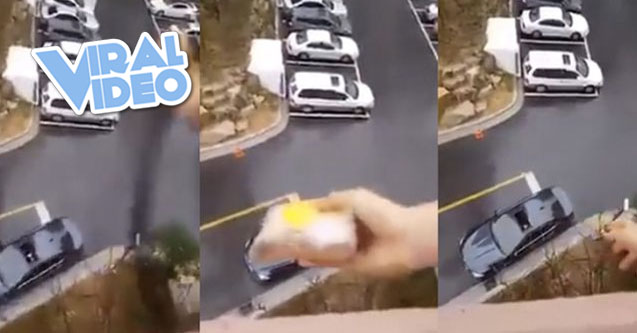 Viral Video: Husband Forgot His Lunch