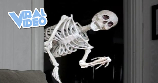 Viral Video: Skeleton Scares Dog