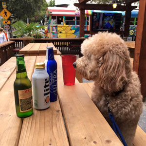 big-al-blog-110716-300x300