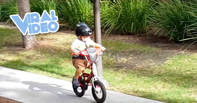 Viral Video: 3-Year-Old Crashes & Wants To See Instant Replay