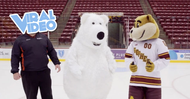 Viral Video: White Bear On Ice Outtakes