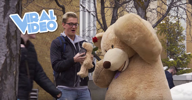 Viral Video: Giant Bear Gives Out Valentines