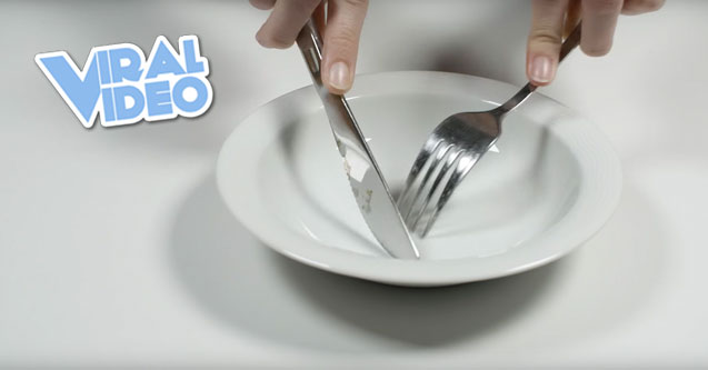 Viral Video: The Most Unsatisfying Video in the World