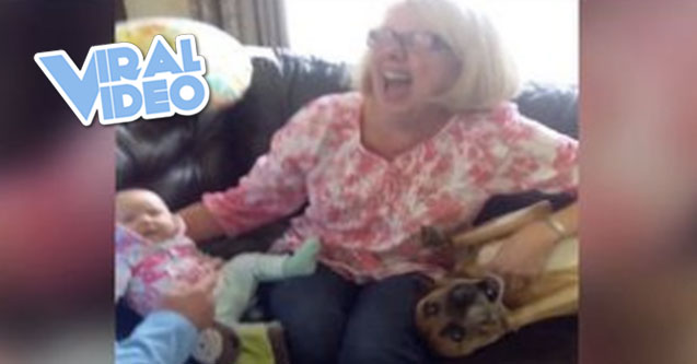 Viral Video: Desperate Dog Can’t Give Up The Baby Status