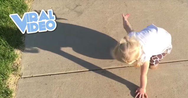 Viral Video: Get Off, Shadow!
