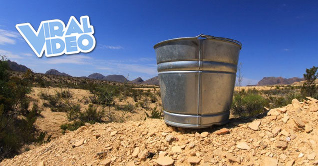 Viral Video: The Bucket