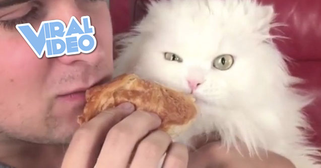 Viral Video: Who Doesn’t Like Croissants?