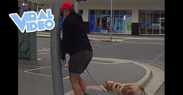 Viral Video: Angry Pedestrian Gets Instant Karma