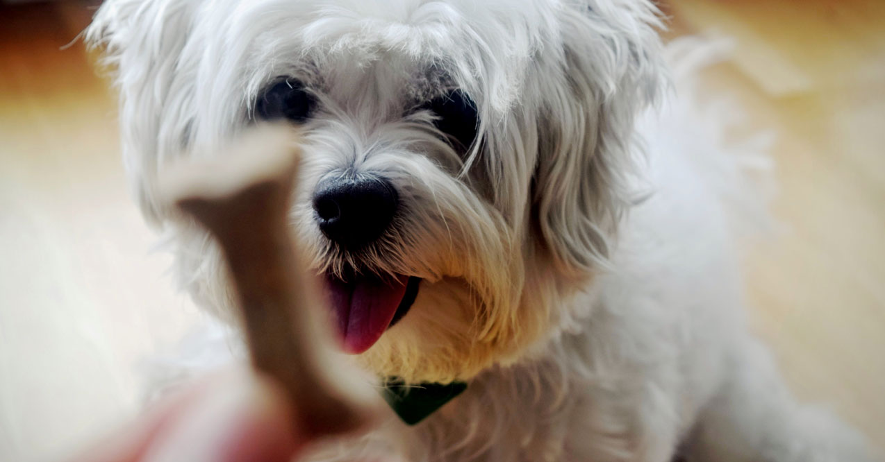 Bone Pickin’ Monday