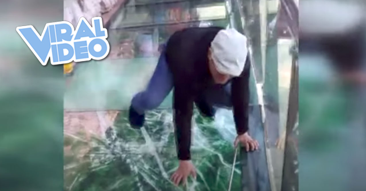 Viral Video: Tourist Terrified By Cracking Glass Walkway