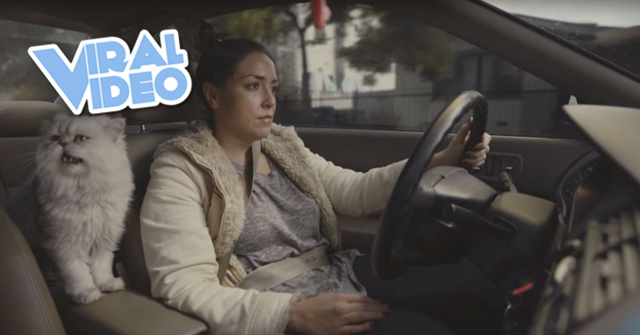 Viral Video: A Funny Fake Car Commercial