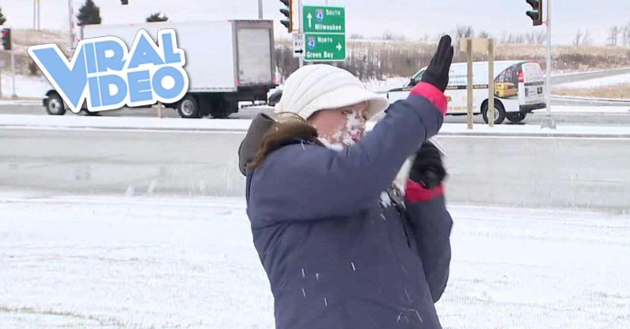 Viral Video: A Reporter Gets Hit By Snowball
