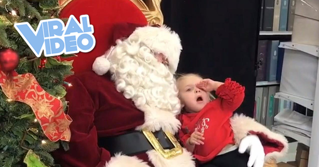 Viral Video: All I Want For Christmas Is A Nap