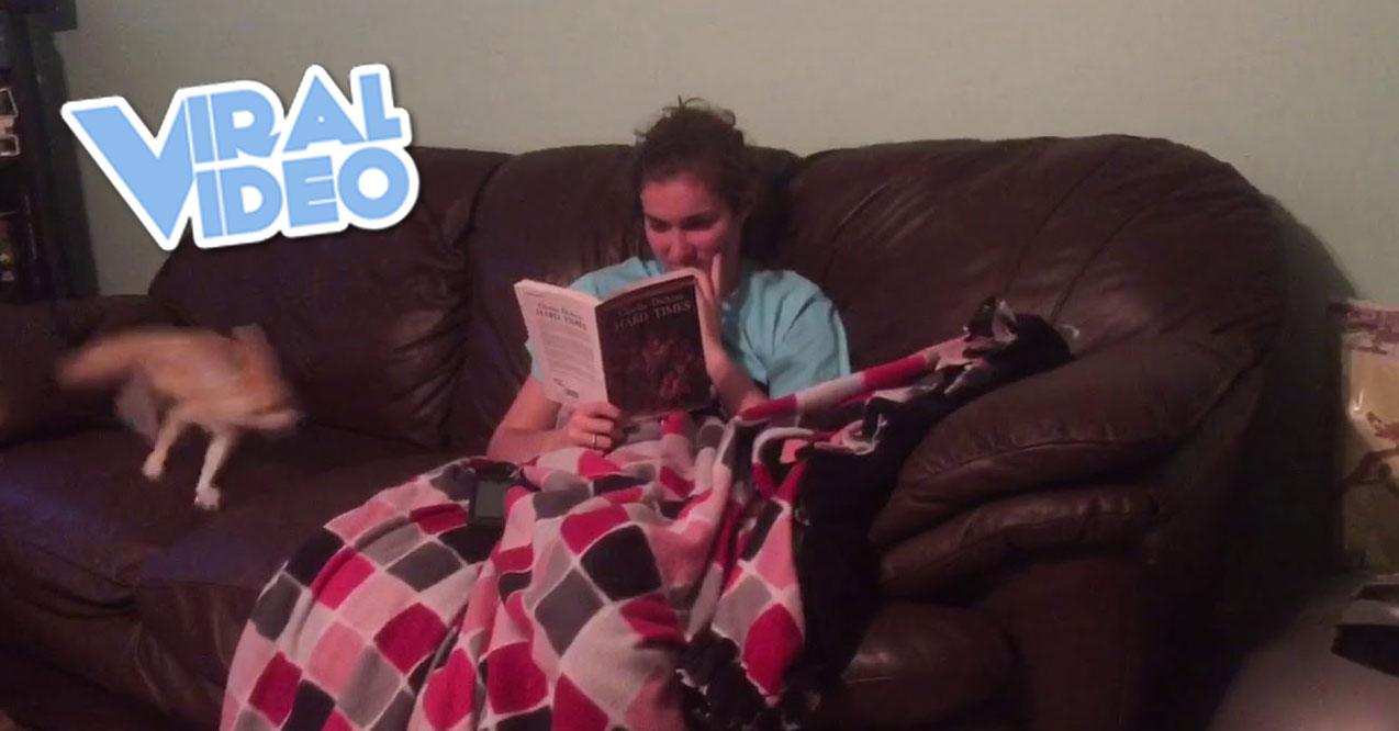 Viral Video: Sit Still I’m Trying To Read!