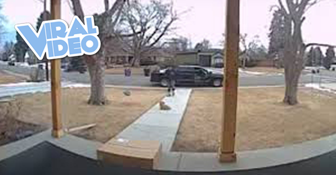Viral Video: A Man Steals Dog From Front Yard