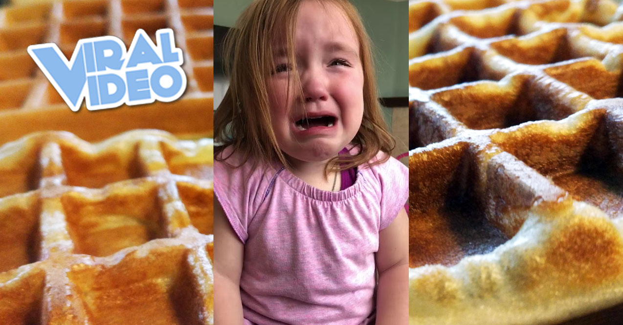 Viral Video: Can’t Stop Dreaming About Waffles