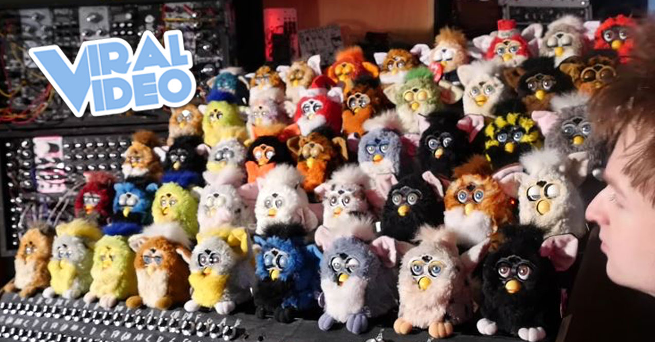 Viral Video: A Musical Instrument Made From Furbies
